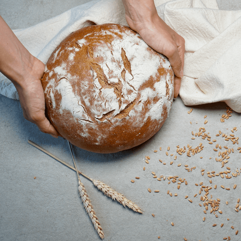 TheBrotBox German Rye Crust Bread Dimension - Wholesome Bakery