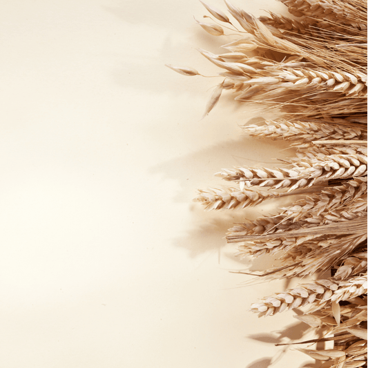 27 Numbers That Will Change How You Think About Bread