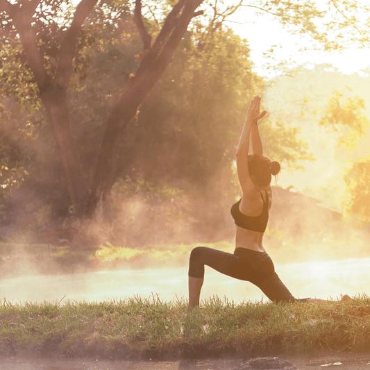 The Secret to Longer Living with Vitality - PART 2: The Role of Musculoskeletal System, Heart and Brain in Vitality