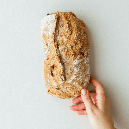 Stone Oven Bread Walnut Fig
